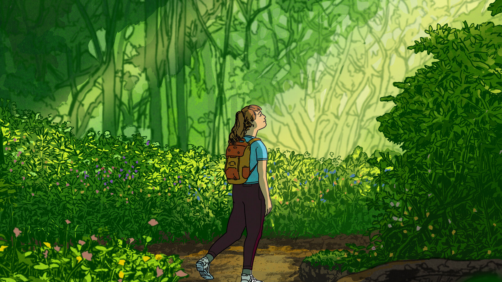 nature and attention span