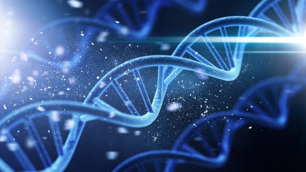cohesin mechanics