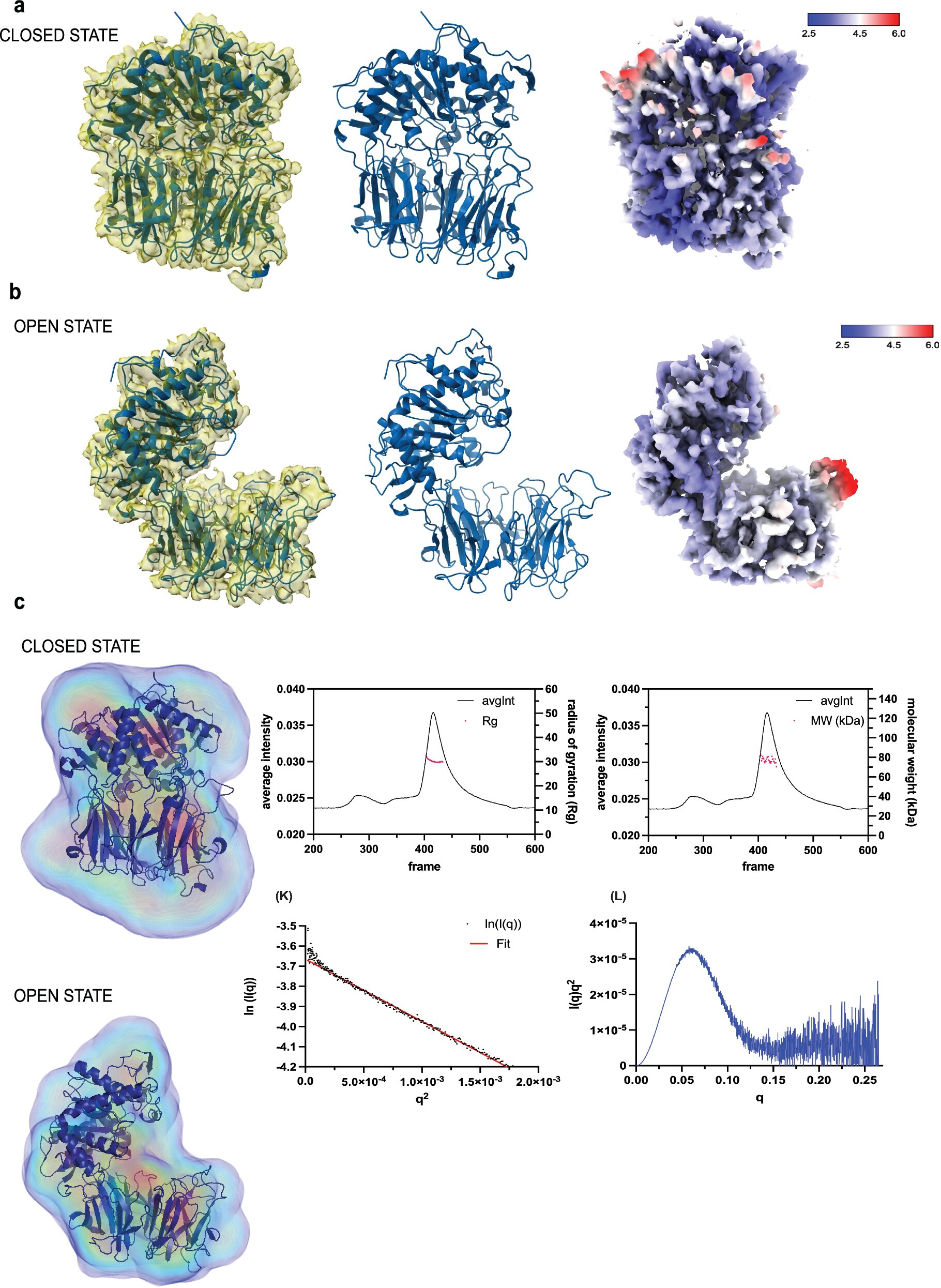 Chagas disease vaccine