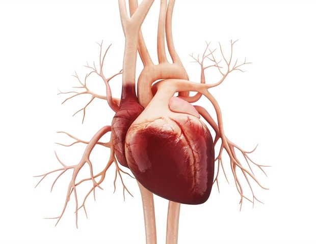 Image source: news-medical.net - for informational purposes.