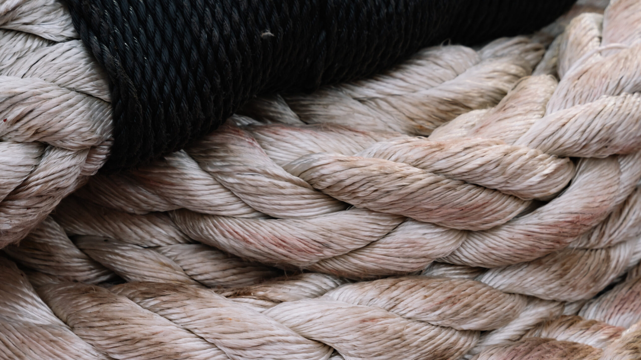 rope main character energy