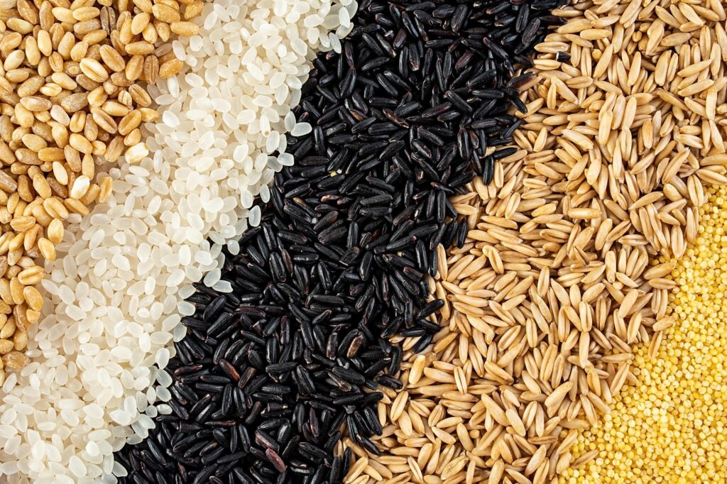 healthiest grains