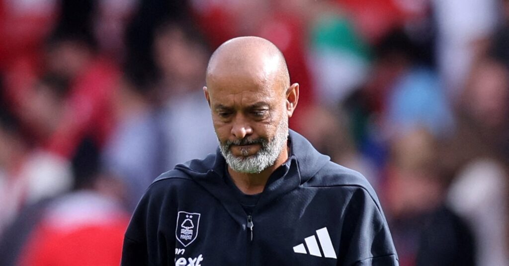Espirito Santo sacked