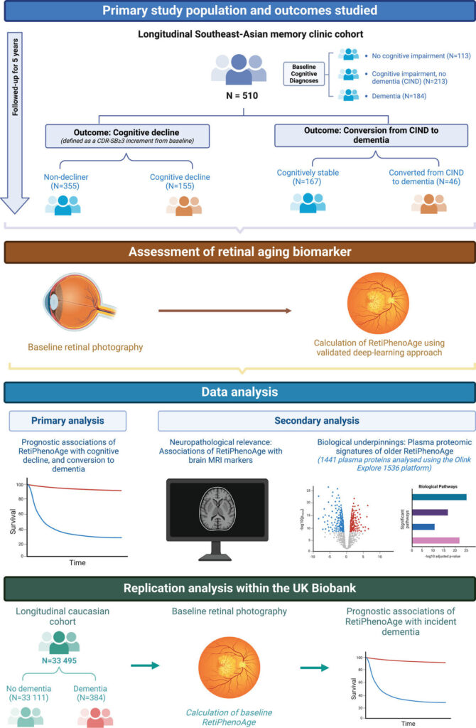 AI eye scan dementia