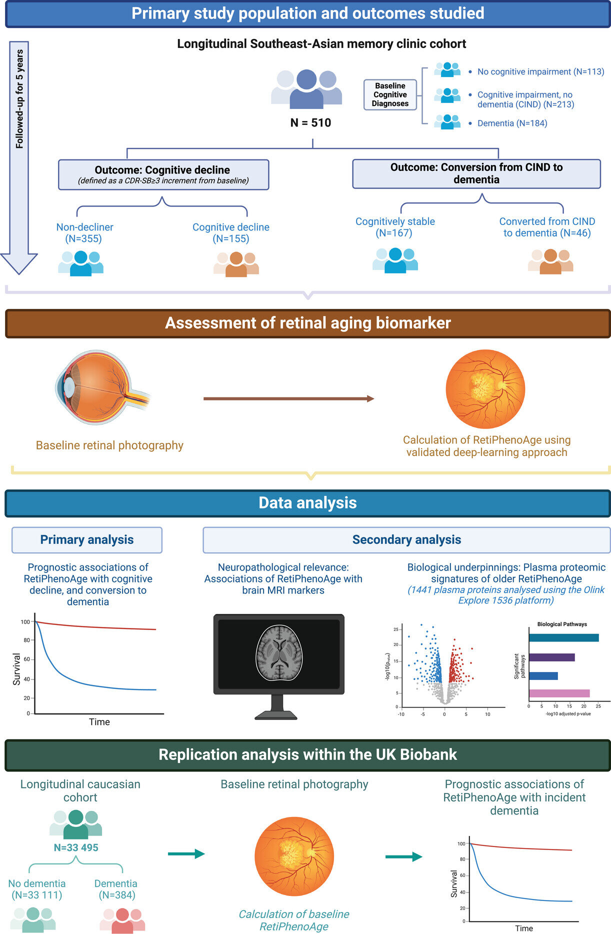 Image source: medicalxpress.com - for informational purposes.