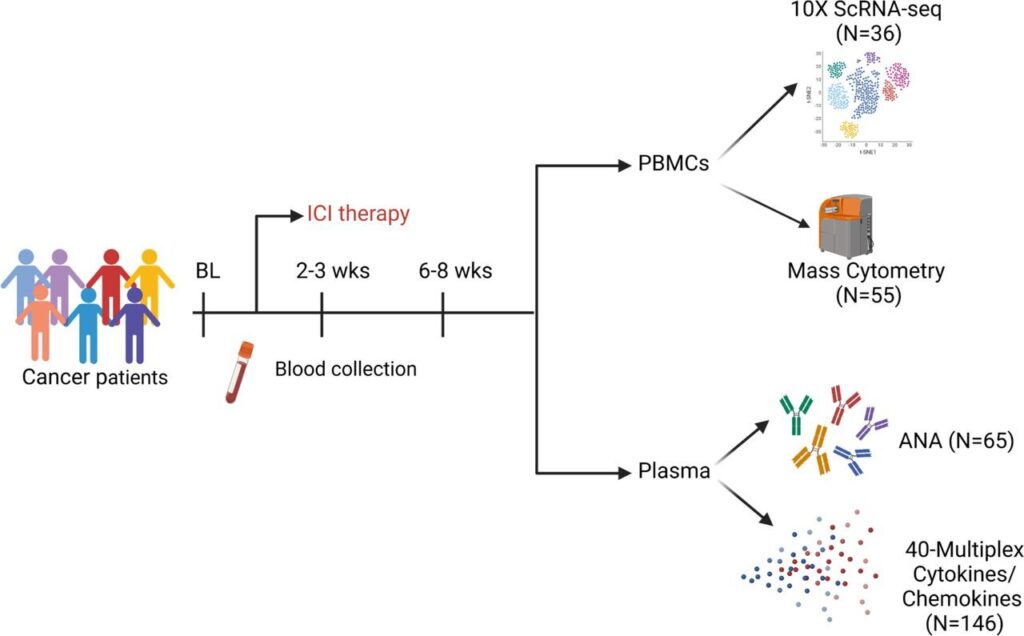 cancer immunotherapy biomarkers