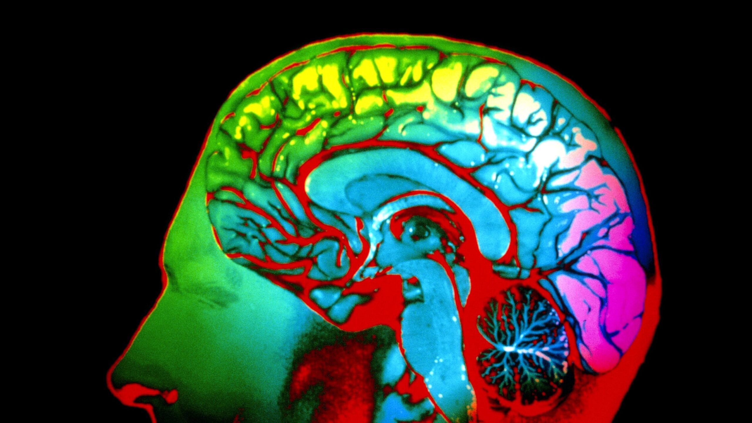 Image source: nytimes.com - for informational purposes.