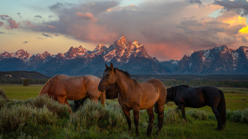 dude ranches