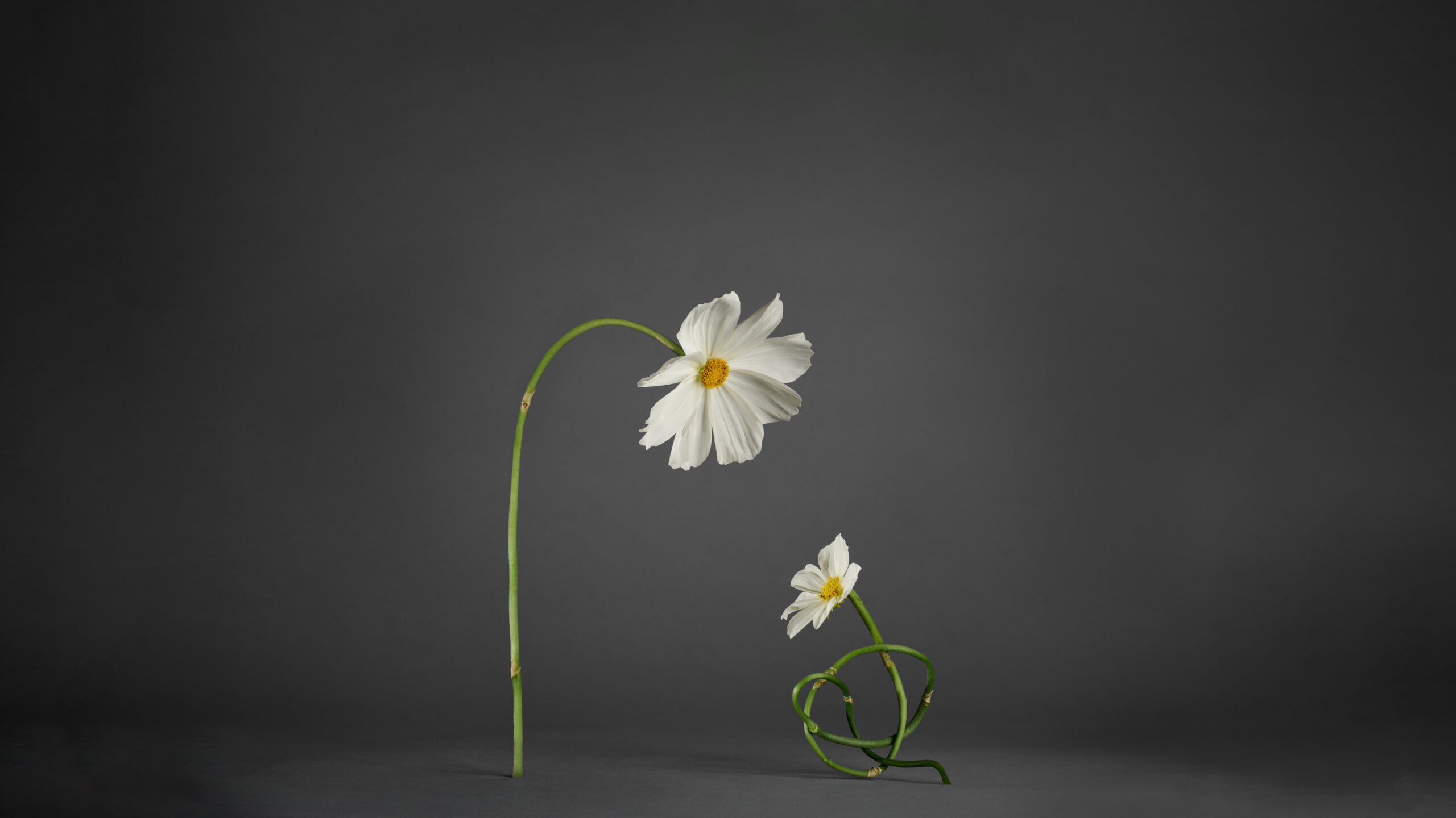 Image source: nytimes.com - for informational purposes.