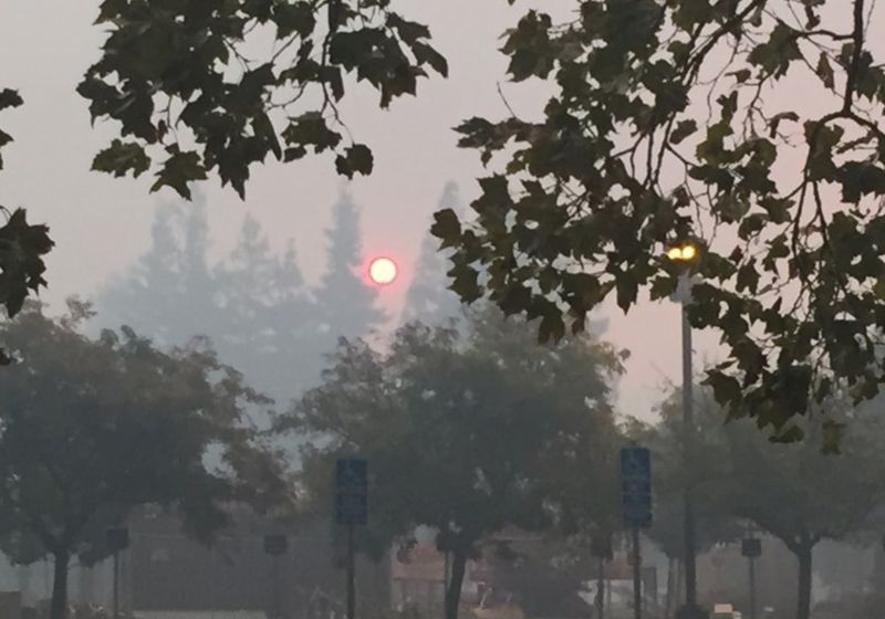 Image source: the-scientist.com - for informational purposes.