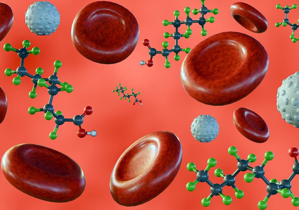 PFAS exposure effects