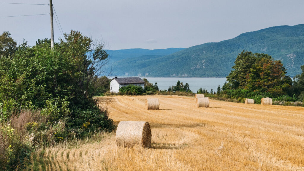 Quebec food travel