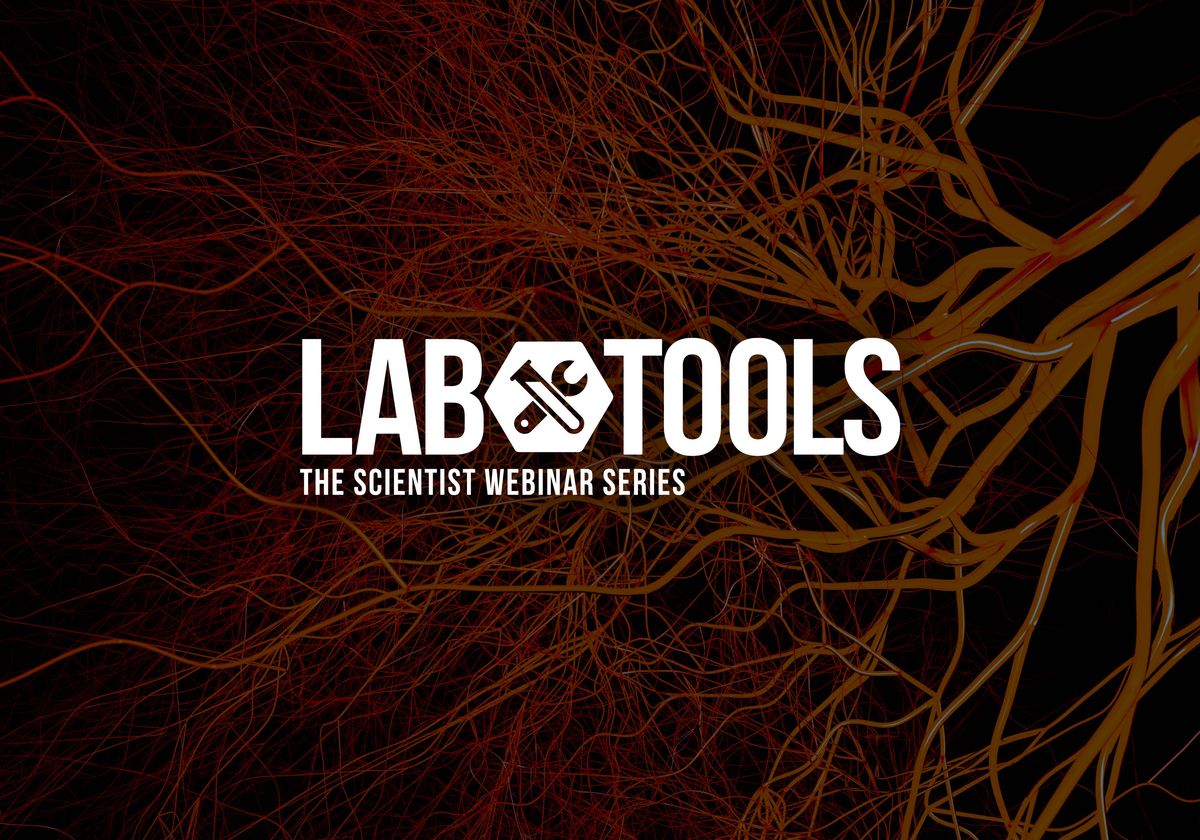 Image source: the-scientist.com - for informational purposes.