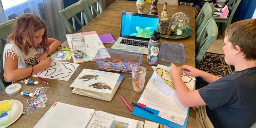 homeschooling misconceptions