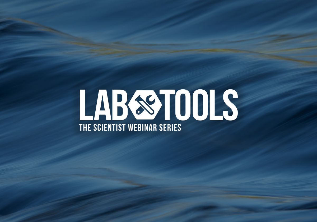 Image source: the-scientist.com - for informational purposes.