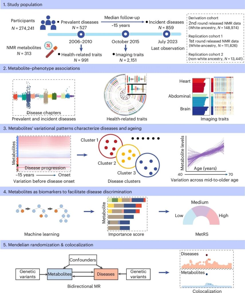 blood chemistry disease prediction