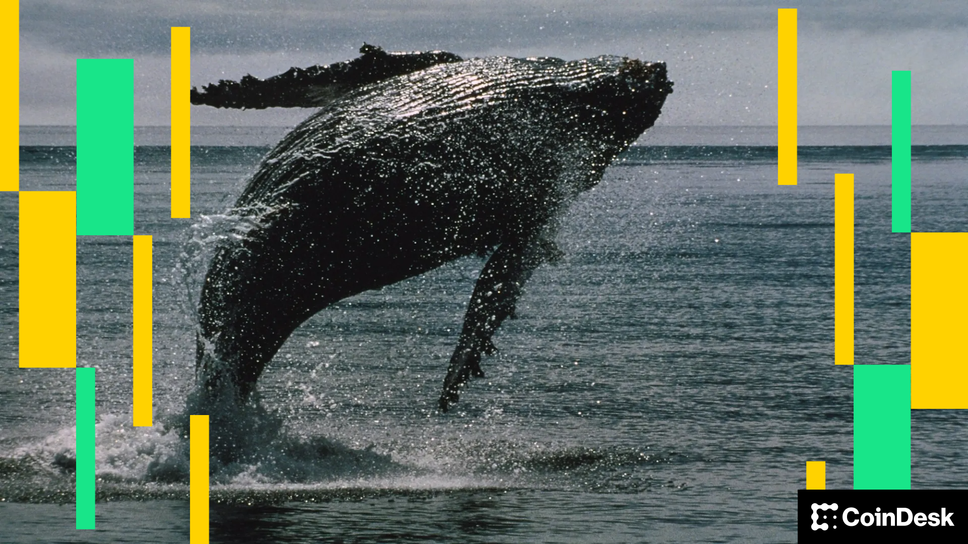 Image source: coindesk.com - for informational purposes.