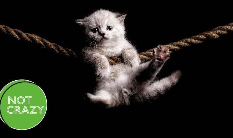 Image source: psychcentral.com - for informational purposes.