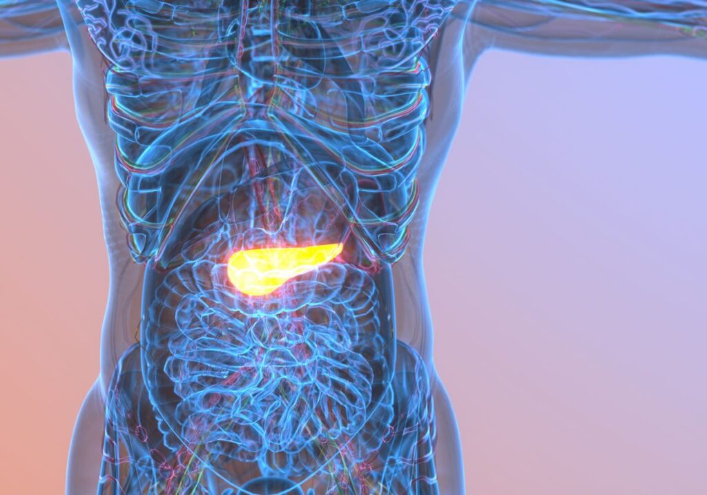 pancreatic cancer therapy