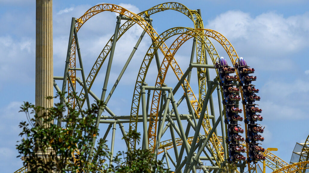 roller coaster death