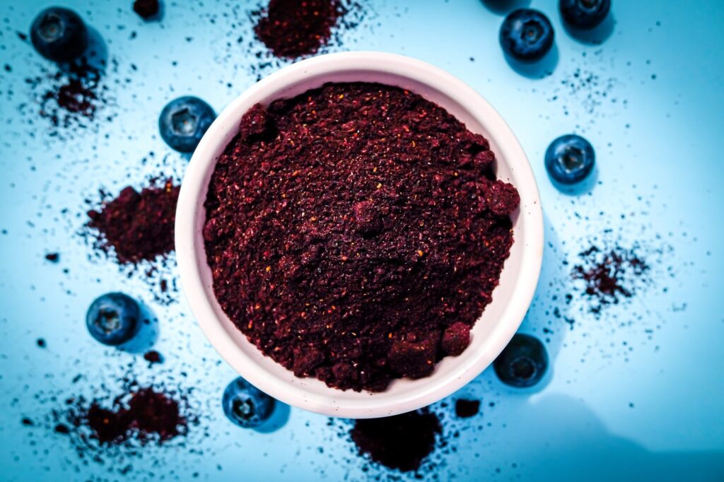 blueberries microbiota