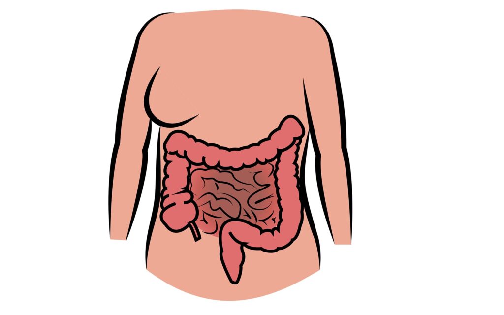 herbs for digestion