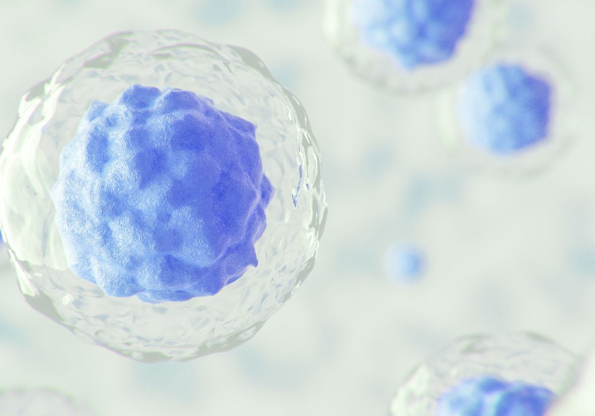 Image source: the-scientist.com - for informational purposes.