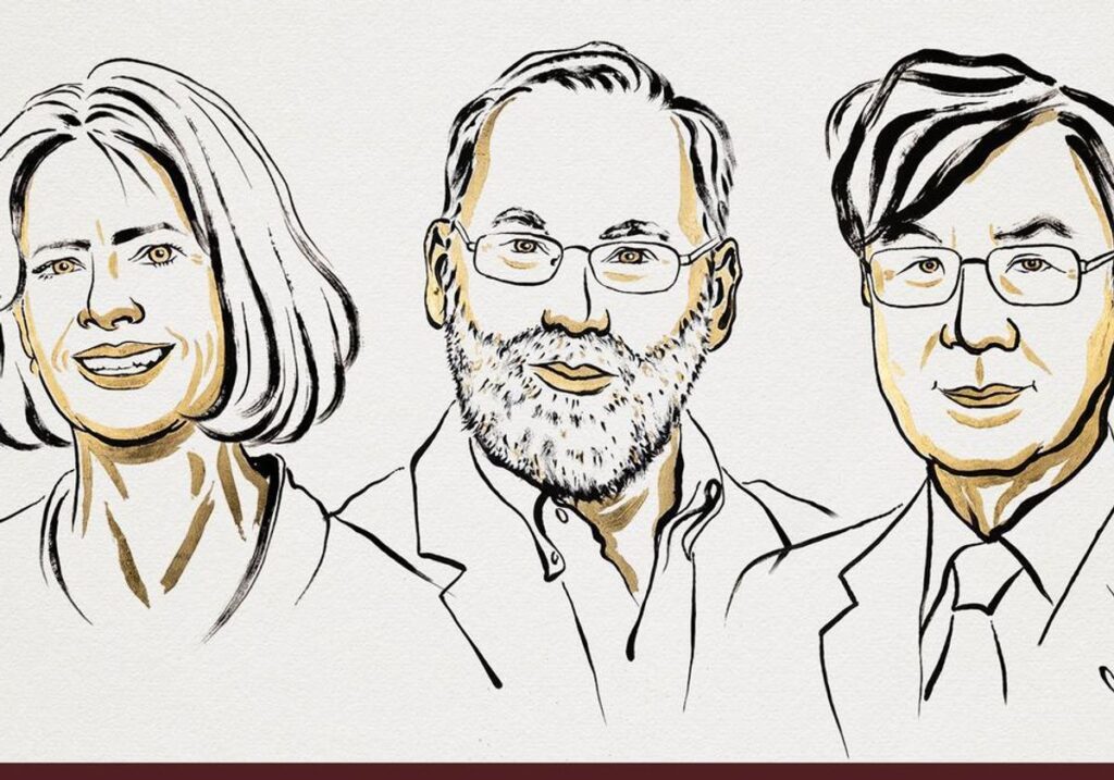 peripheral immune tolerance