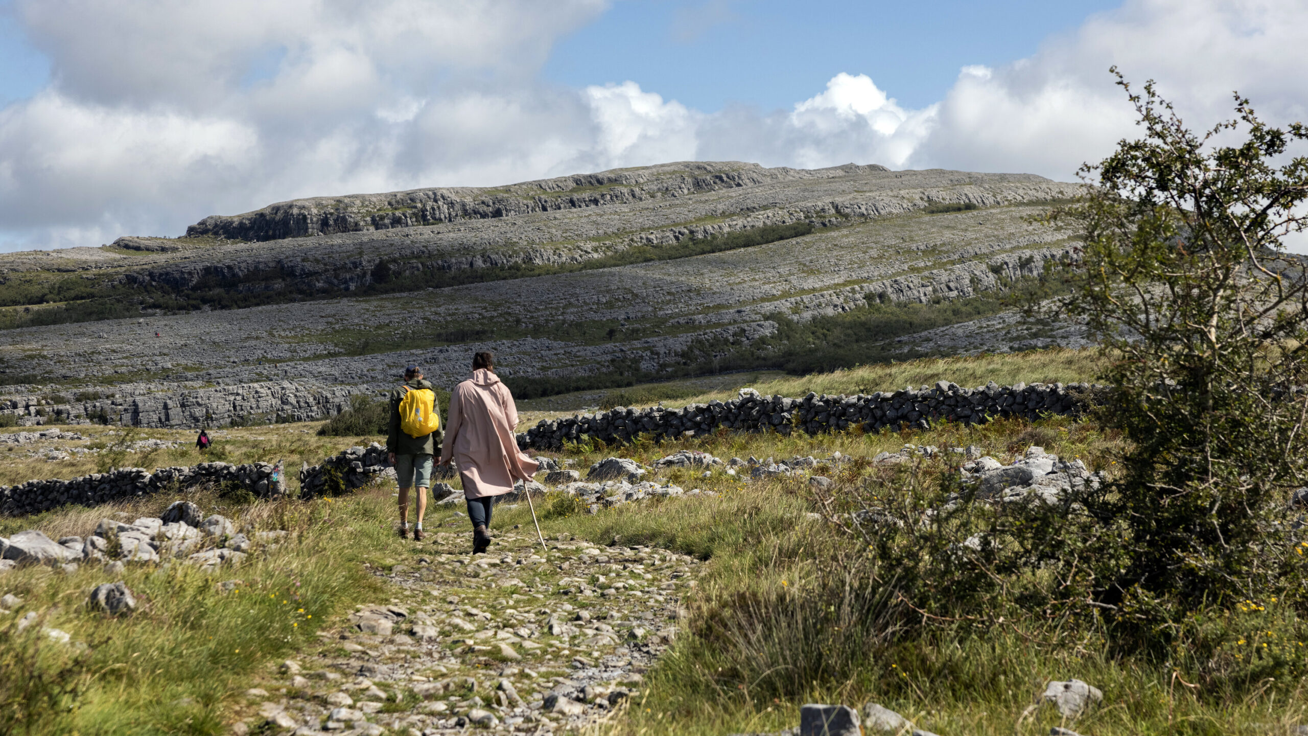 Image source: nytimes.com - for informational purposes.