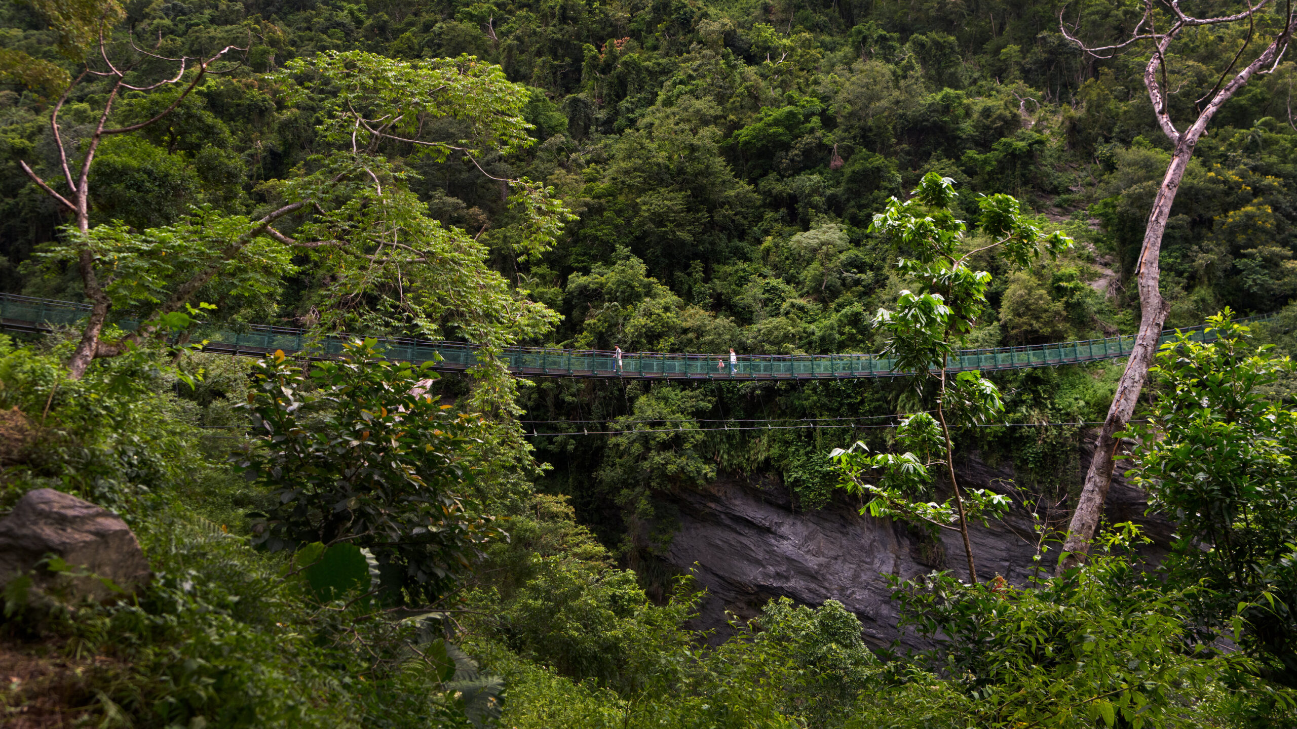 Image source: nytimes.com - for informational purposes.