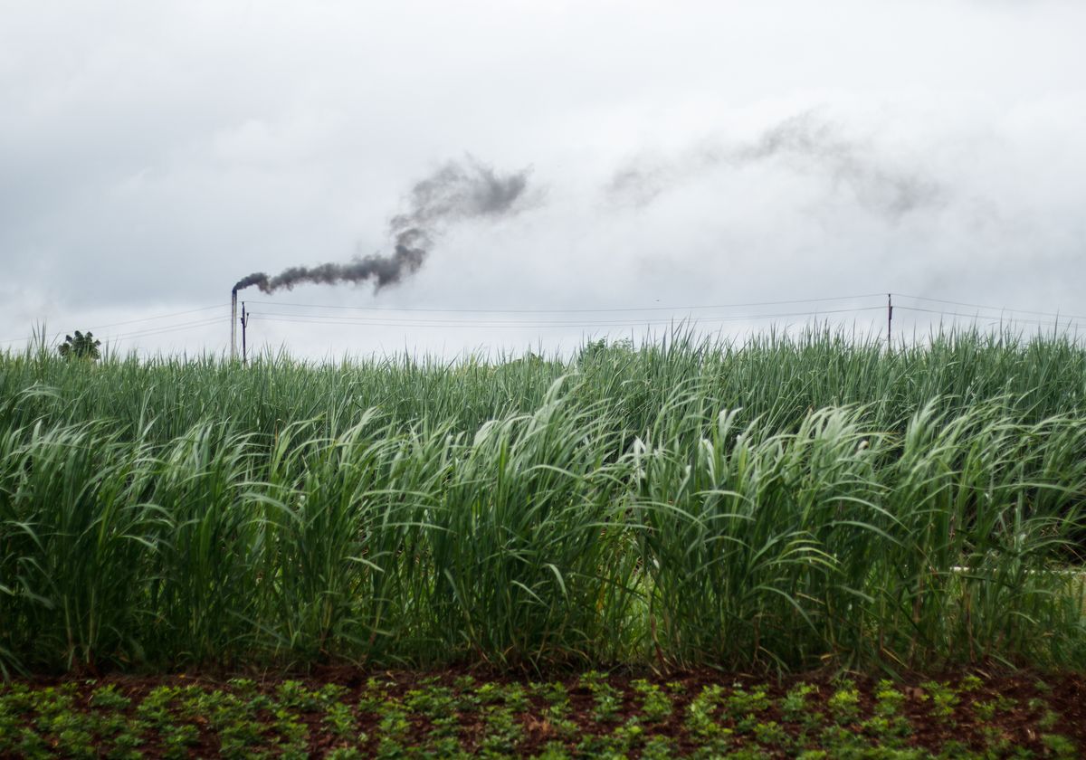 Image source: the-scientist.com - for informational purposes.