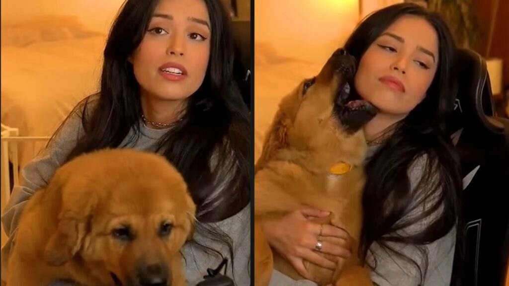 Valkyrae HasanAbi controversy