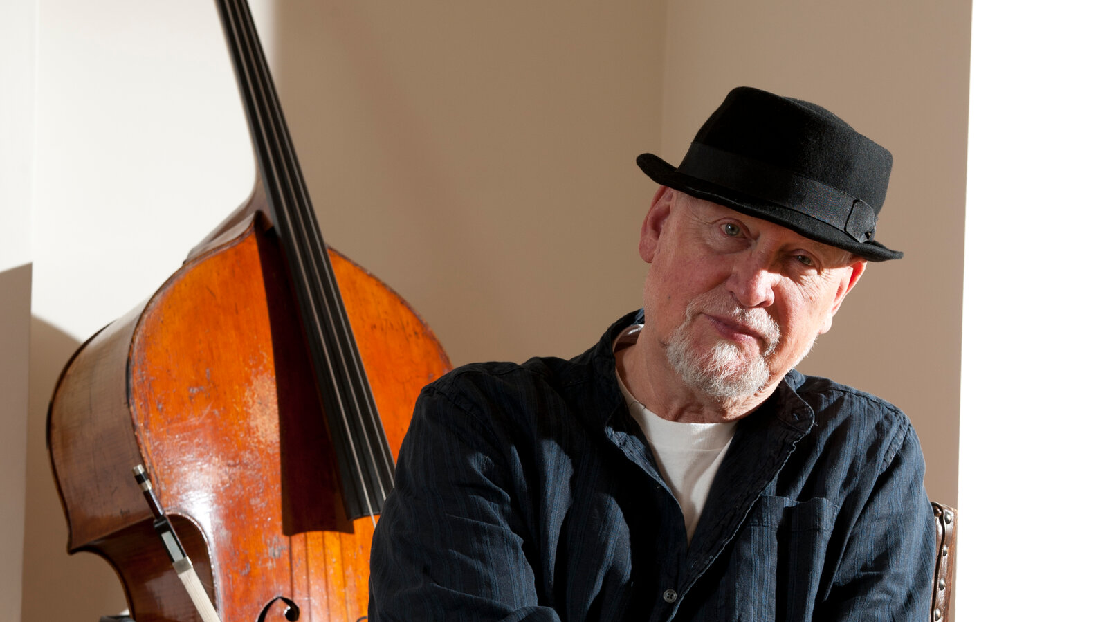 Danny Thompson bassist