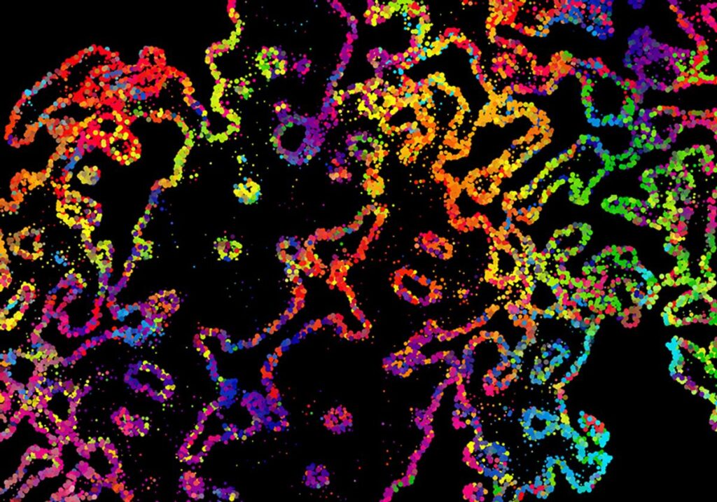 spatial biology