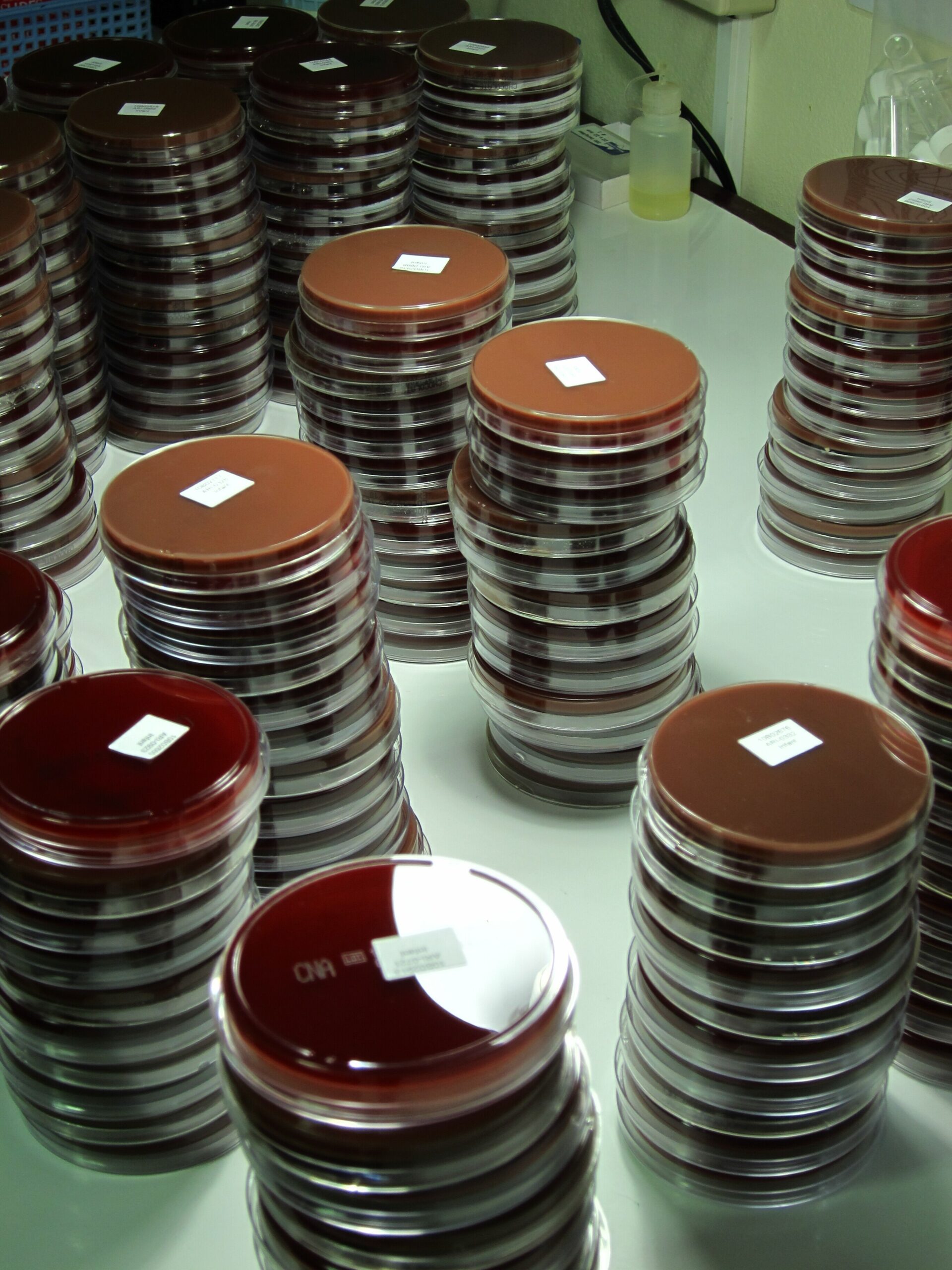 childhood infections vaccine