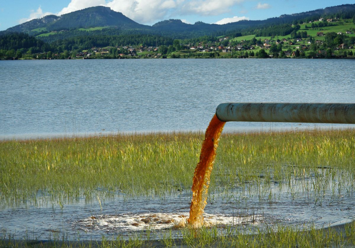 Image source: the-scientist.com - for informational purposes.