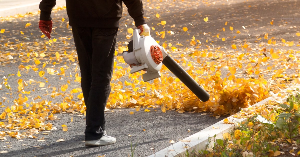 Image source: nbcnews.com - for informational purposes.