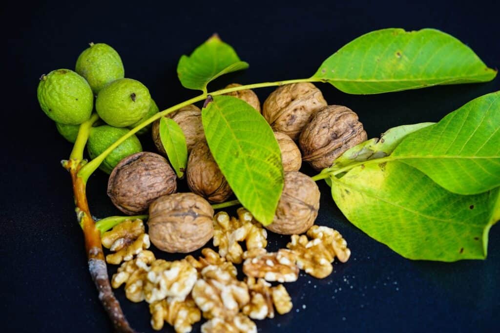 walnuts inflammation