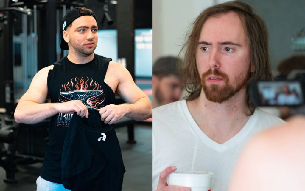 Asmongold Mizkif brigading