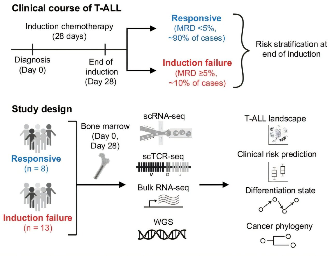 T-cell subtype leukemia
