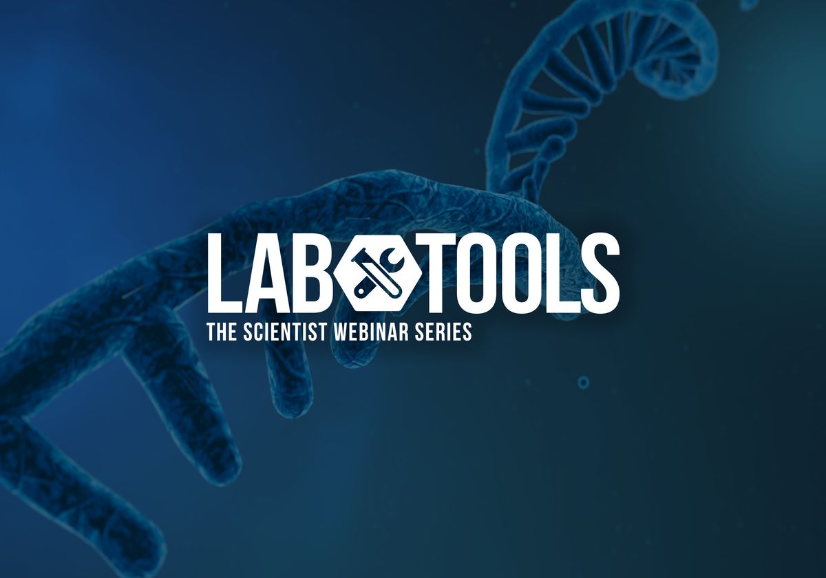 RNA splicing immunotherapy