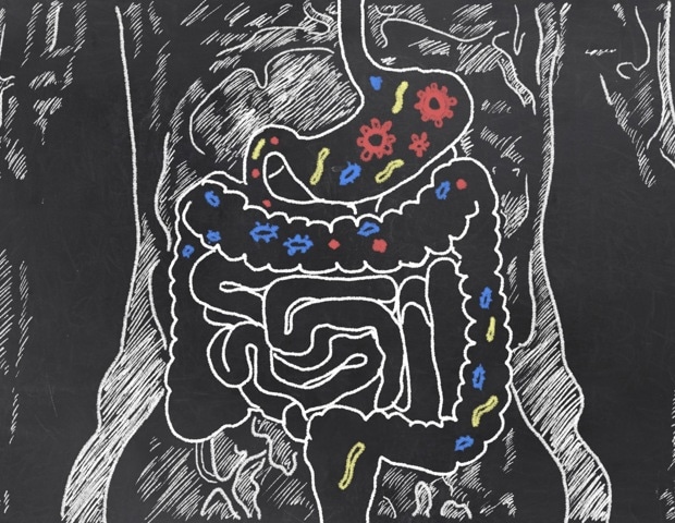 gut microbiome autism