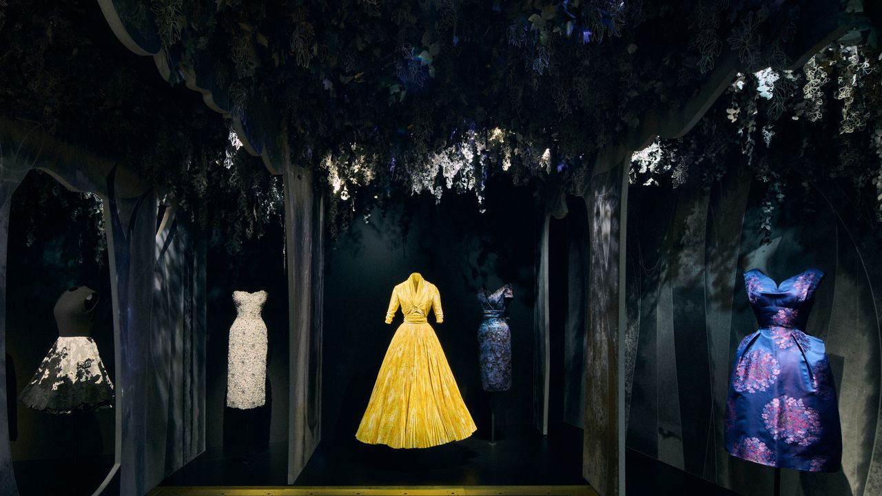 Azzedine Alaïa Dior collection