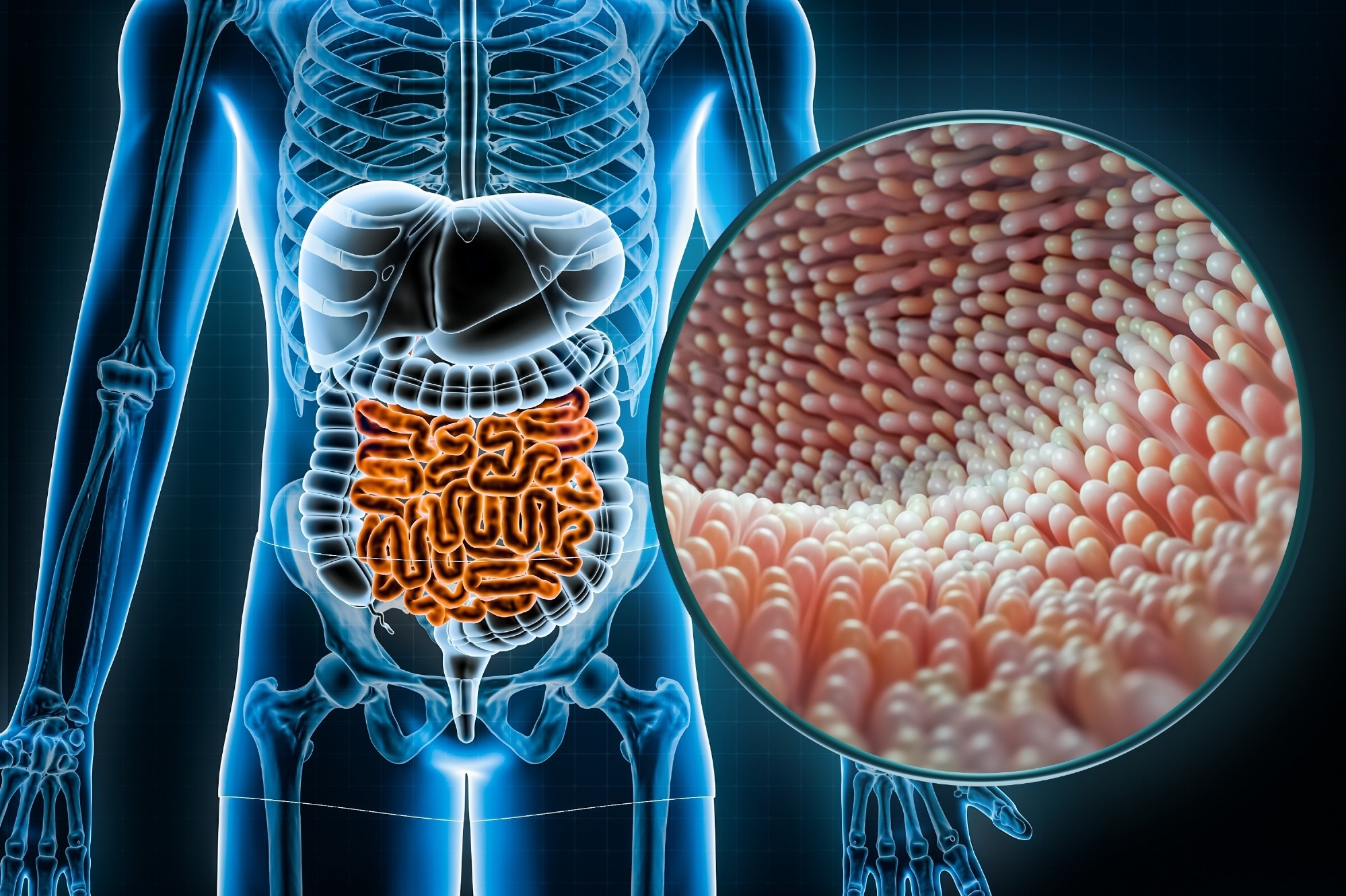 gut microbiome similarities