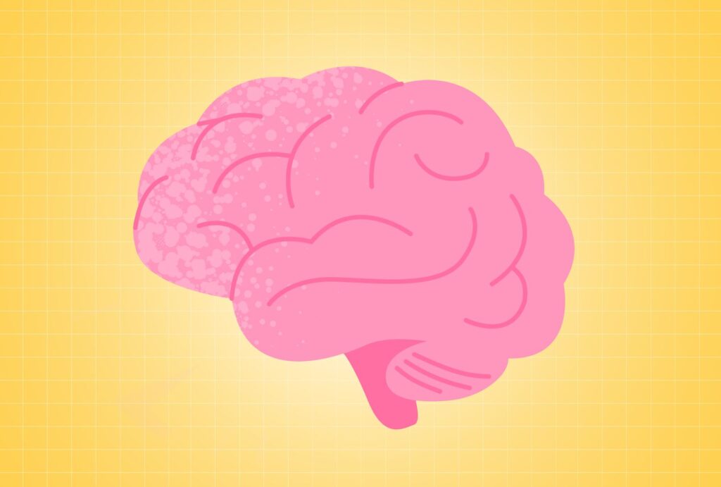 healthy weight brain