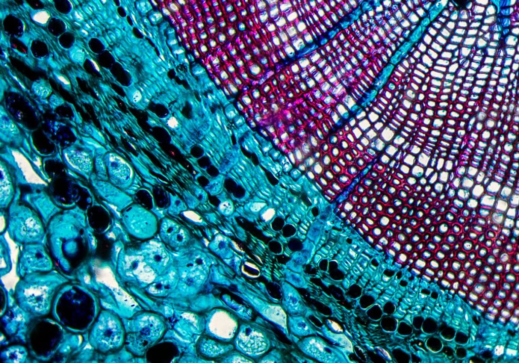 cell biology breakthroughs