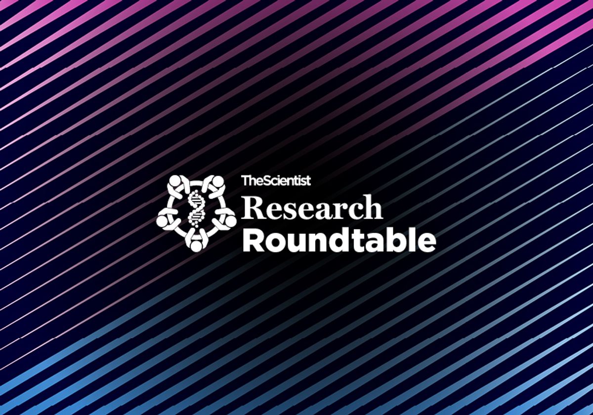 animals in molecular biology