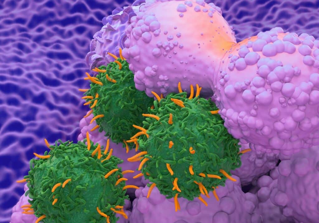 T Cell Immunotherapy