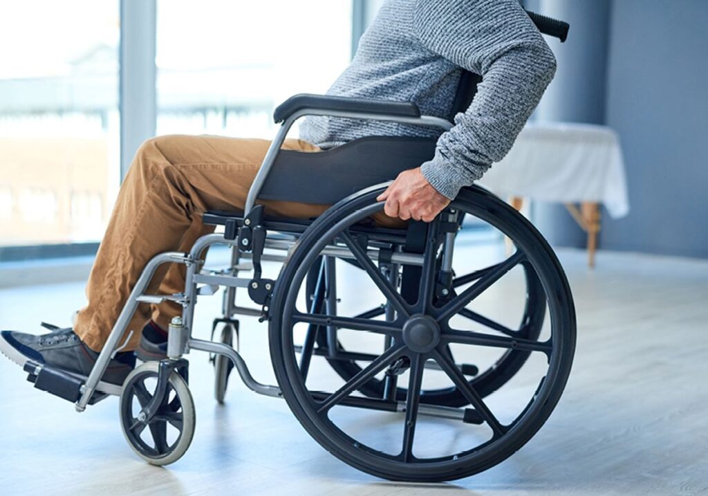 spinal cord organoids