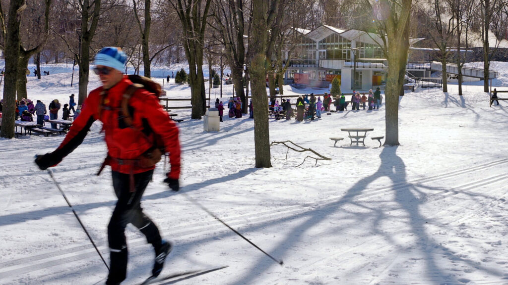 Montreal layover guide